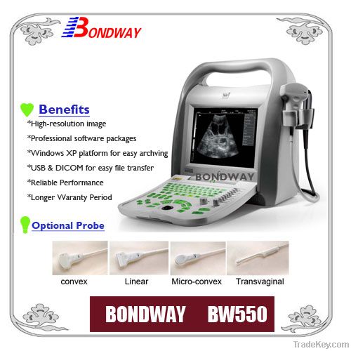 Digital Portable Ultrasound Diagnostic System (BW550)