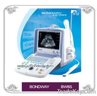 Digital Ultrasound Scanner (BW8S)