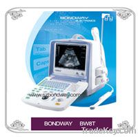 Digital Ultrasound Scanner (BW8T)