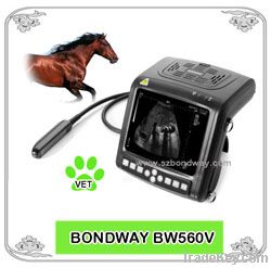 Digital Wrist-top Veterinary Ultrasound Scanner (BW560V)
