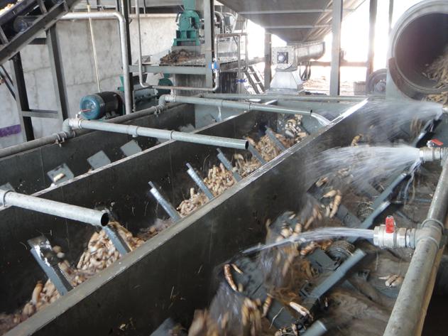 cassava starch production line