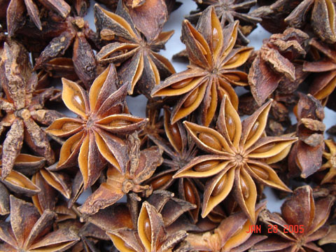 Star Aniseeds(star anise)