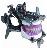 articulator