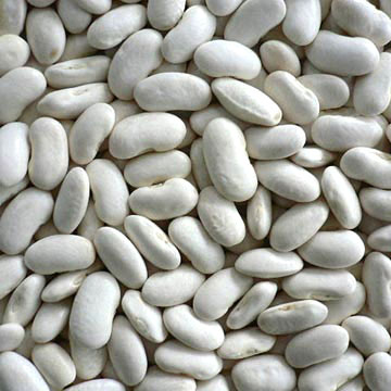 White kidney bean