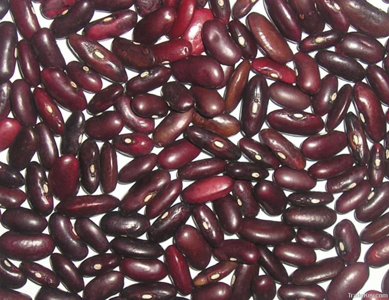 red kidney bean