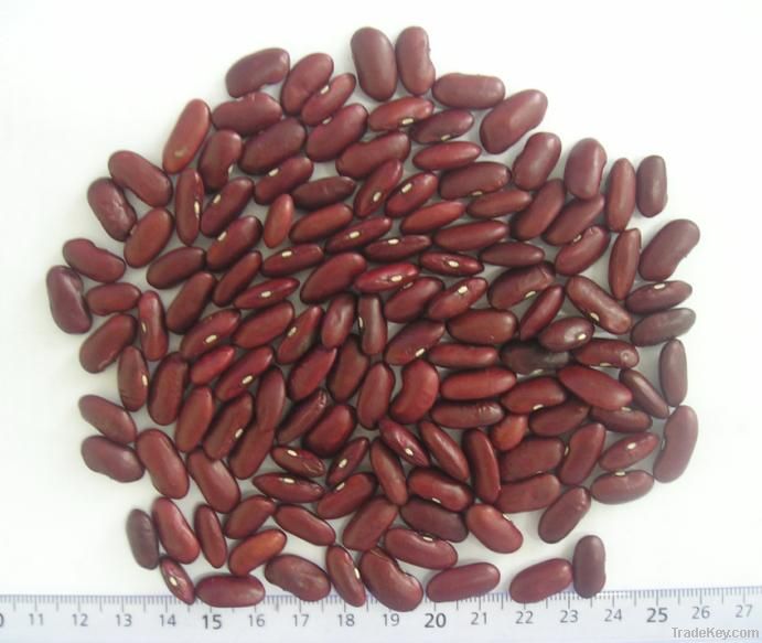 red kidney bean