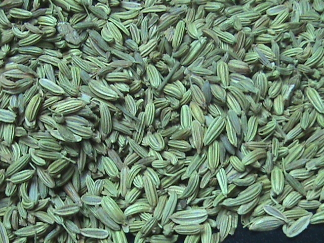 fennel seed