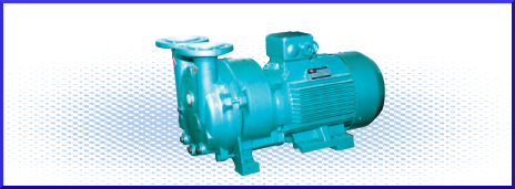 Series Water Ring Vacuum Pumps and Compressors
