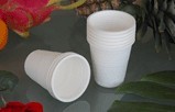biodegradable sheet products and granules, injection products