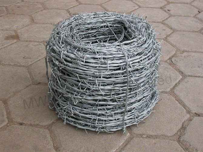 galvanized or pvc coated barbed wire