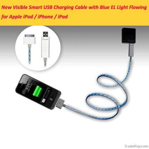 Smart USB charge Cable for iphone/iPad