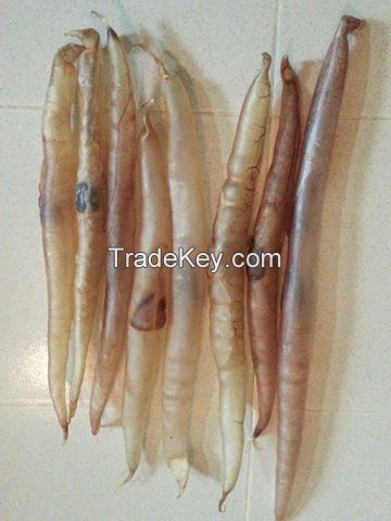 Dried Conger Eel Fish Maw