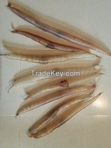 Dried Conger Eel Fish Maw