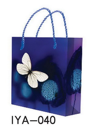 Customized Eco-friendly Stylish PP Shopping Bag