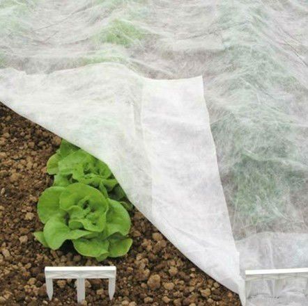 Nonwoven Crop Cover or Flower Cover or Mulch