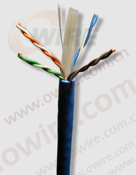 Cat6 UTP Network Cable