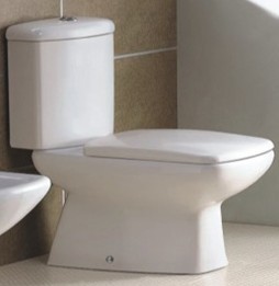 one and two piece toilet