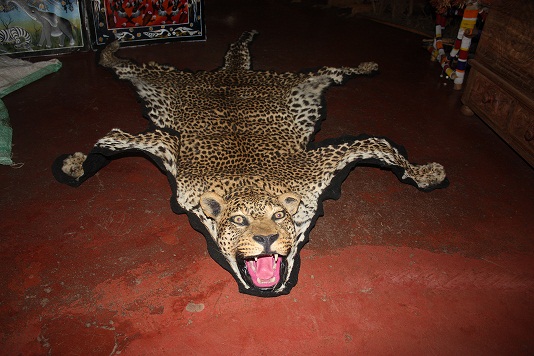 Leopard Skin (Headmount)