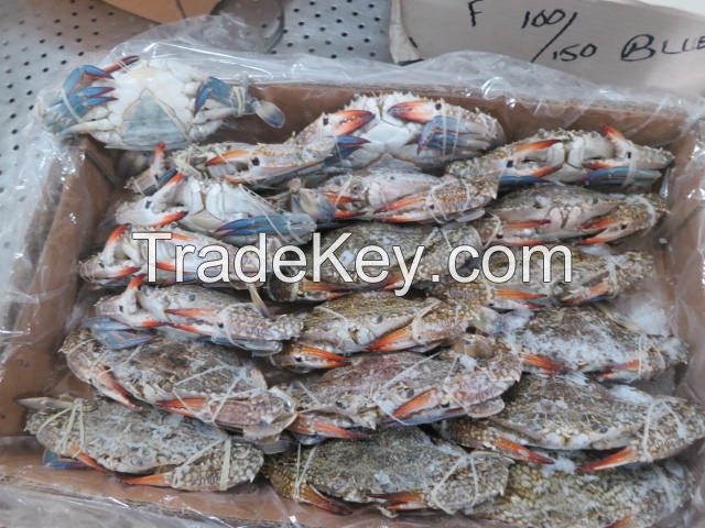 LIVE FROZEN BLUE SWIMMING CRABS