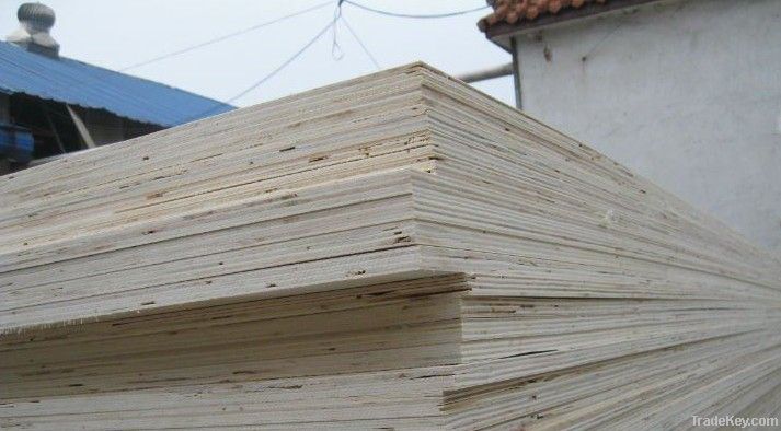 WBP water proof hardwood plywood
