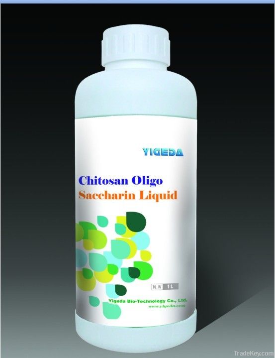 Chitosan Saccharin Liquid