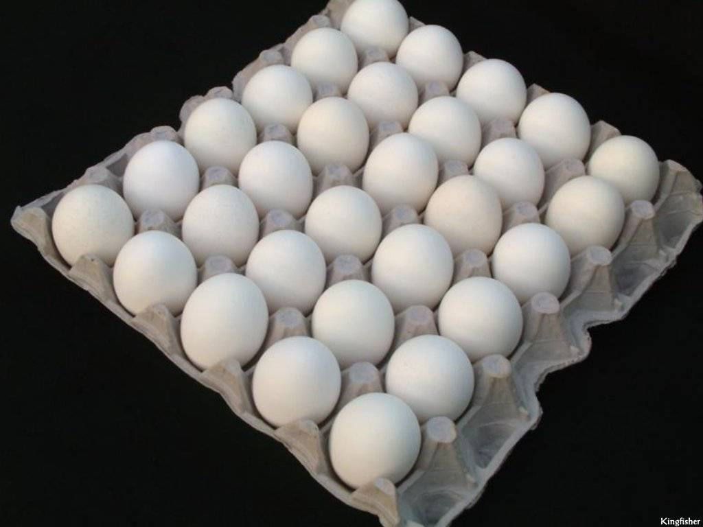 Farm Fresh Table Eggs