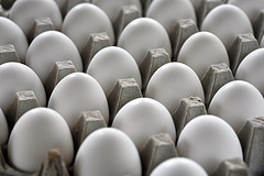Farm Eggs Ready for Export