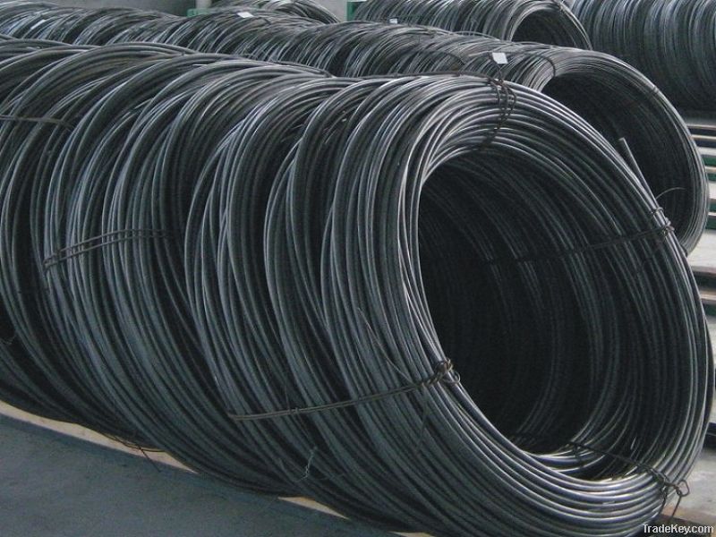 Wire rod