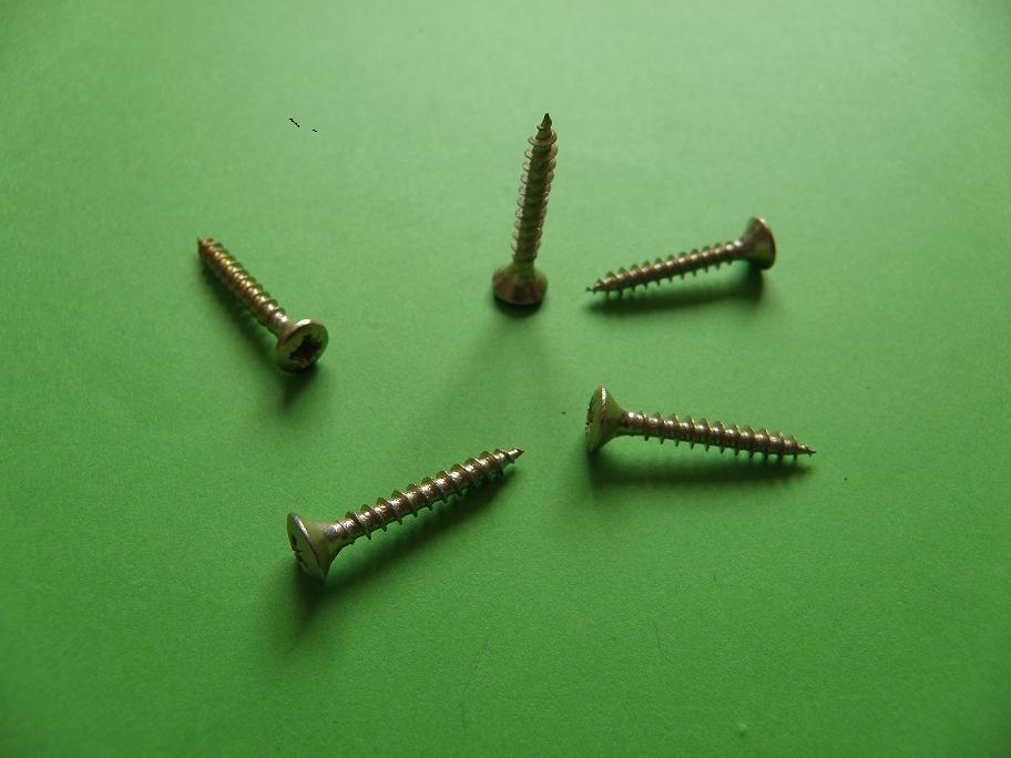 Self Tapping Screw