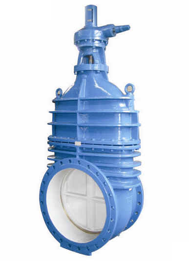 Cast iron gate valve