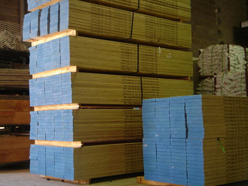 Scaffold Boards