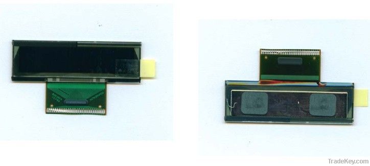 OLED Module (O12832B0200)