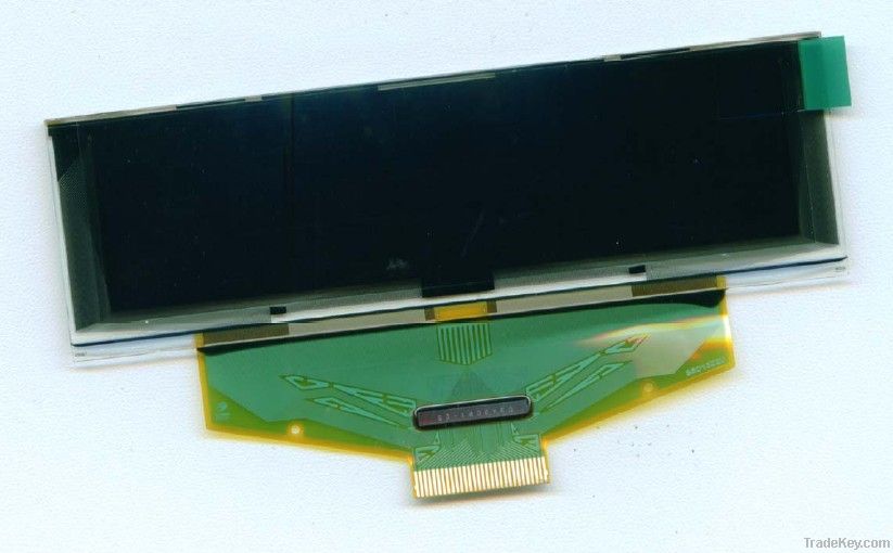 OLED Module (O25664B0312)