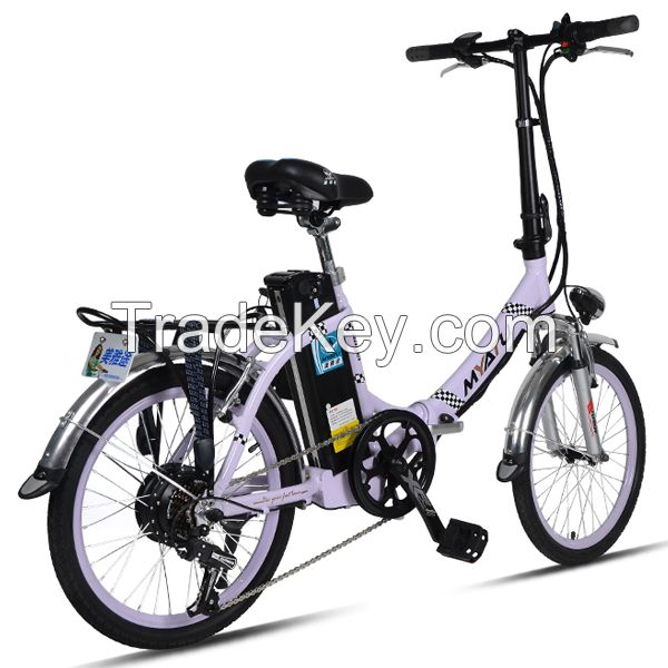 Multi-purpose Electric Bicycle