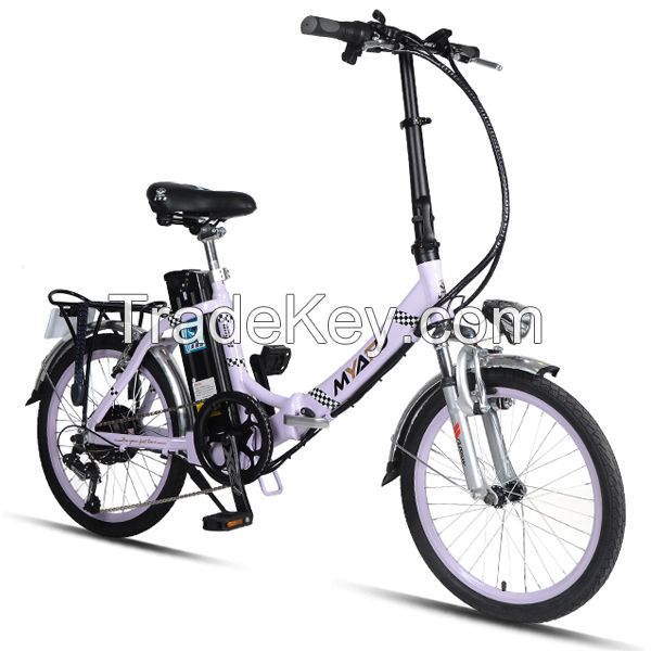 Multi-purpose Electric Bicycle