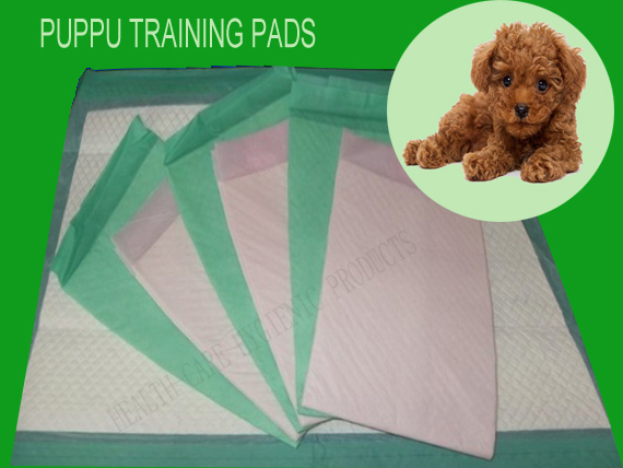 Puppy Pads