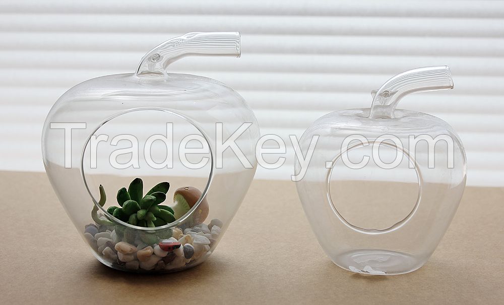 Handcrafted glass vase/hanging terrarium