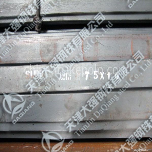 Sup10 Spring Flat Steel