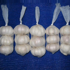 All classification of Normal White Garlic
