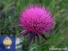 Milk Thistle Extract-Silymarin&Silybin(5%-80%)