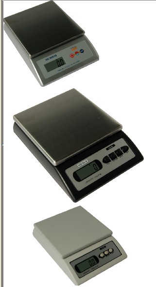 ELECTRONIC Precision SCALE