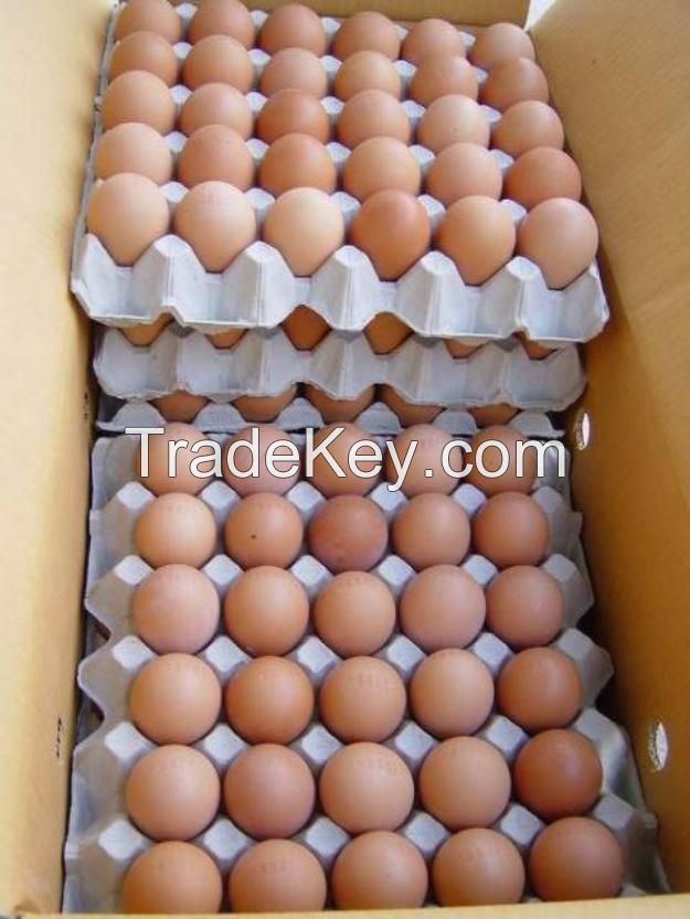 Farm Fresh Chicken Eggs