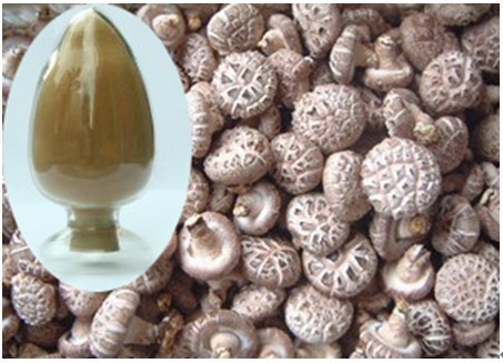 High purity lentinus edodes (shiitake mushroom)polysaccharide