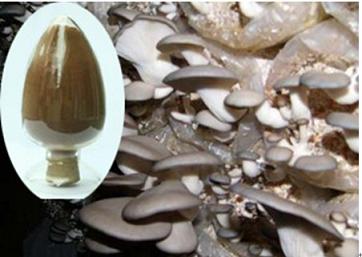 High purity pleurotus ostreatus extract