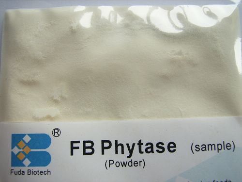 phytase