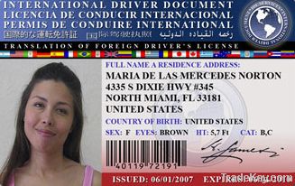 International Drivers Document (IDD)
