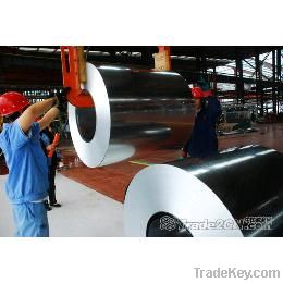 Prime and excellent quality galvanized steel coil