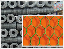 sell Hexagonal Wire Netting