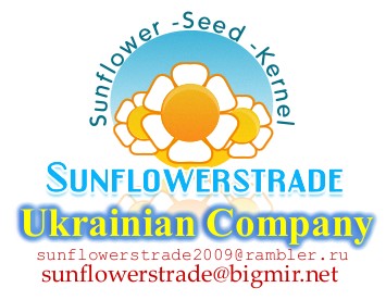 Sunflower SEEDS  calibrated