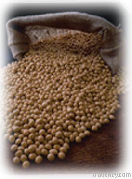 Soya grain